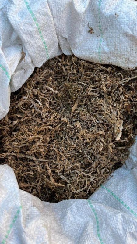 В Республике Бурятия транспортные полицейские задержали мужчину с пакетом марихуаны