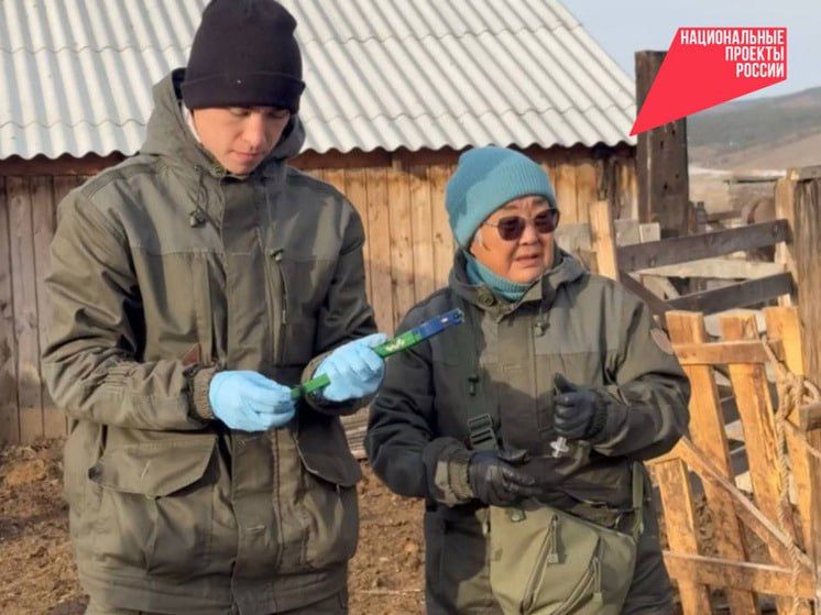 Целевой студент-ветеринар из Бурятии нашел себя в профессии согласно нацпроекту