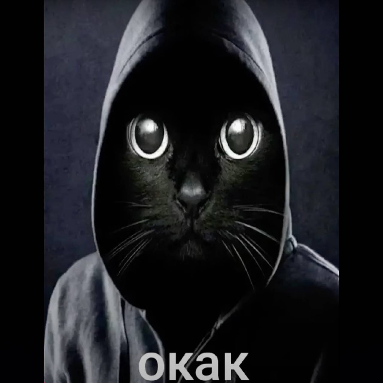 Мошенник пообещал вернуть вложенные в «Финико» деньги жителю Бурятии