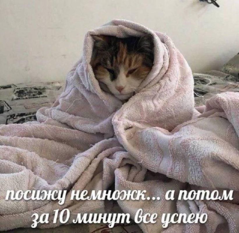 Доброе утро). 27 ноября по республике: переменная облачность, днём местами небольшой снег, по северному Прибайкалью и Баргузинской долине до умеренного снегопада