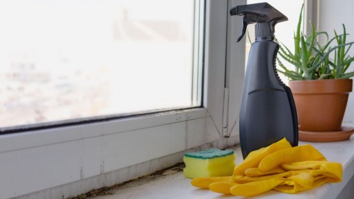 Окна засияют как новенькие: жуткую плесень удалит одно простое средство