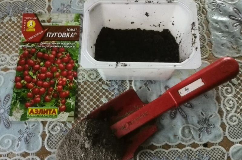 Как успешно вырастить помидоры зимой: секреты домашних условий