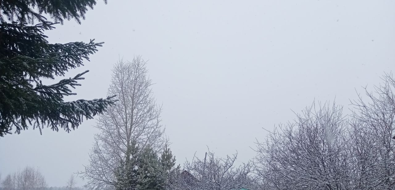 Синоптики прогнозируют снегопад