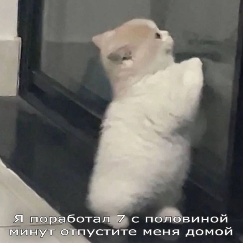 Доброе утро). 28 ноября по республике: днём на большей части территории снег, по северному Прибайкалью и Баргузинской долине снегопады