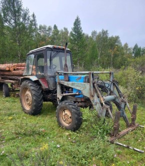 Прокуратура республики направила в суд уголовное дело о незаконной рубке леса на сумму свыше 1 млн рублей