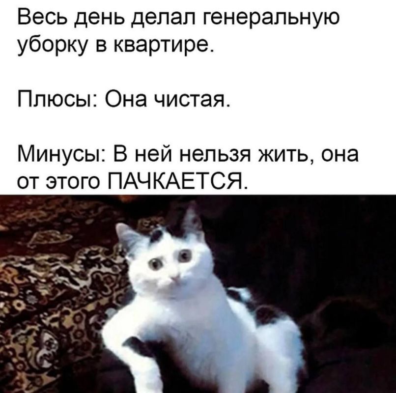 Доброе субботнее утро. Сегодня обещают ветреную погоду