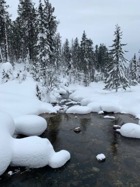 ЗНАМЕНАТЕЛЬНЫЕ СОБЫТИЯ. Первый день зимы Всероссийский день хоккея Международный день невролога День математика ЧИТАЙТЕ ВЕСТИ БУРЯТИЯ В MAX ТВ