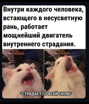 Доброе утро) С началом недели и первым днём зимы)