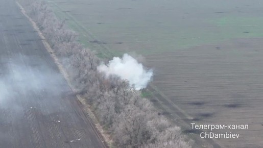  :     -  &quot; &quot;     