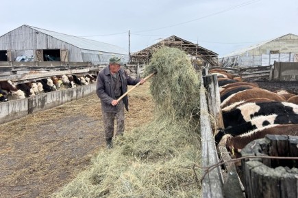 Инвестиции в технику помогают АПК Бурятии ставить рекорды