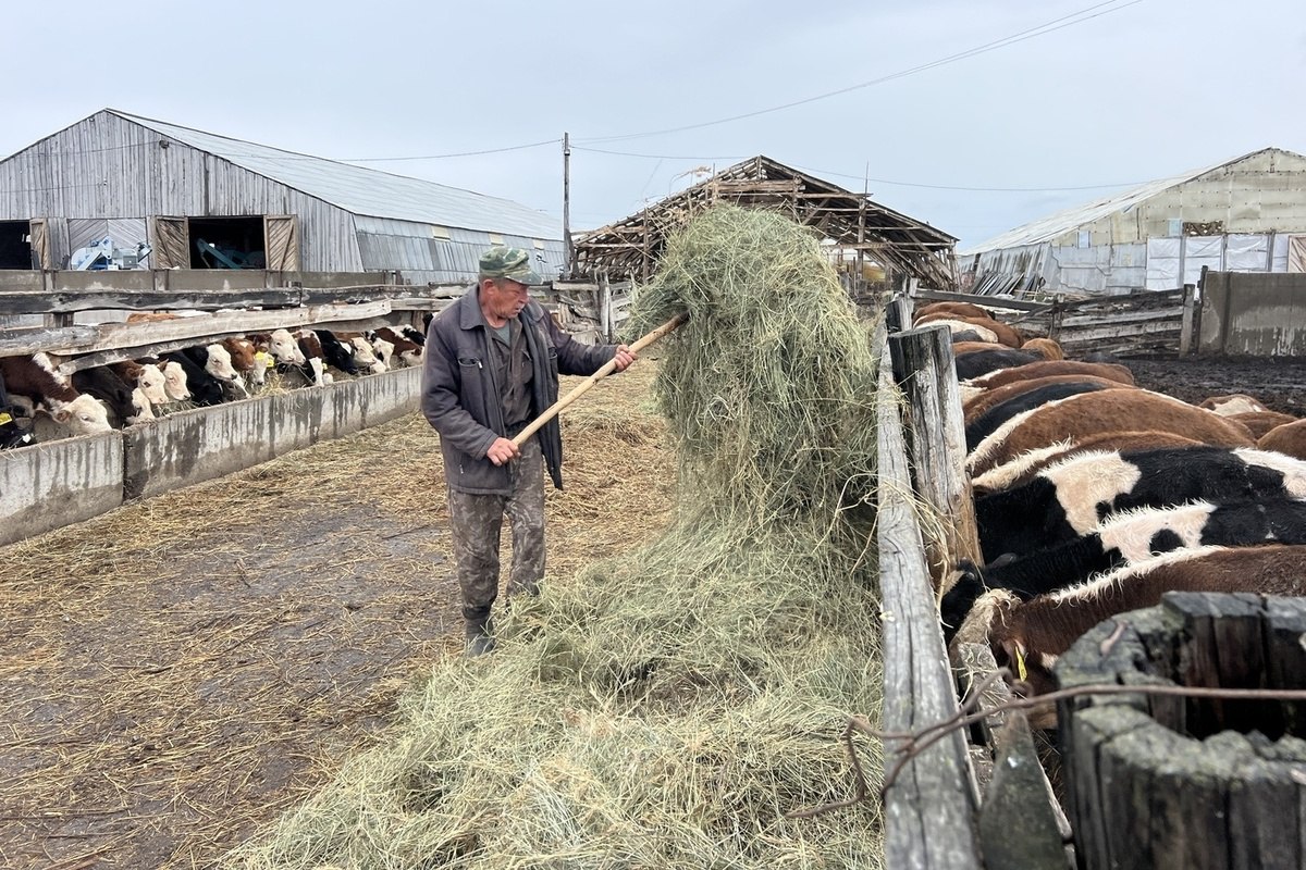 Инвестиции в технику помогают АПК Бурятии ставить рекорды