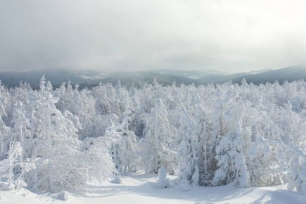 Тайна и красота Уналейского гольца