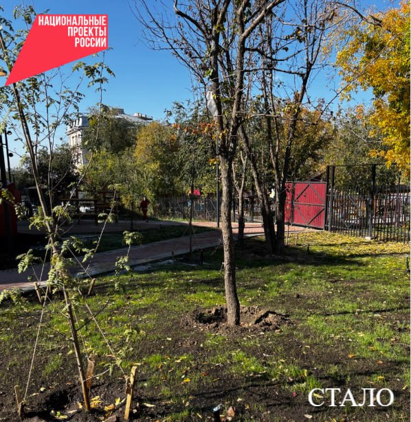 В Улан-Удэ облагородили часть исторической улицы Фрунзе В Улан-Удэ облагородили часть исторической улицы Фрунзе