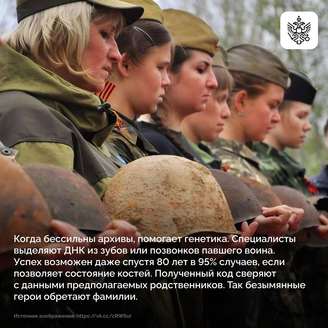 Поля сражений до сих пор хранят полтора миллиона непогребенных защитников Поля сражений до сих пор хранят полтора миллиона непогребенных защитников