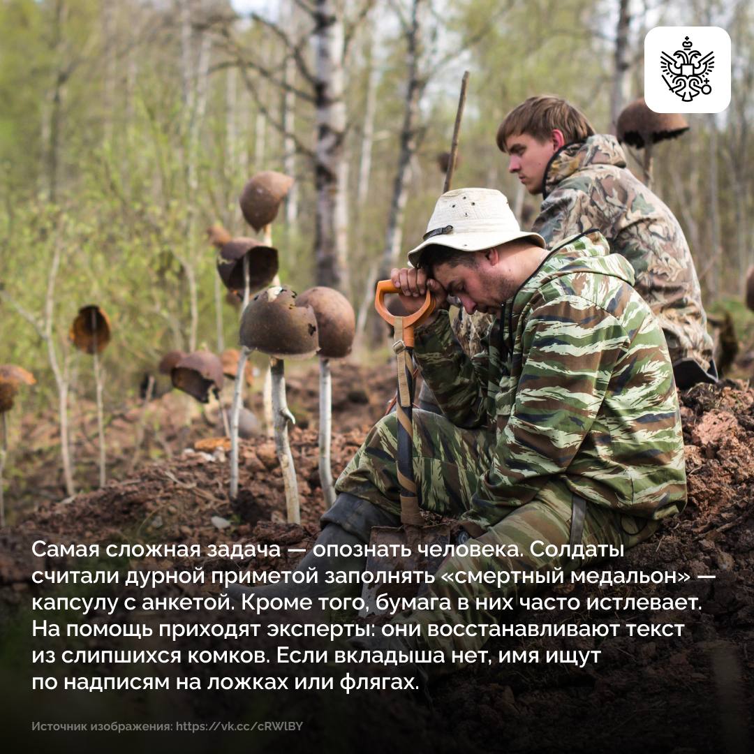 Поля сражений до сих пор хранят полтора миллиона непогребенных защитников Поля сражений до сих пор хранят полтора миллиона непогребенных защитников