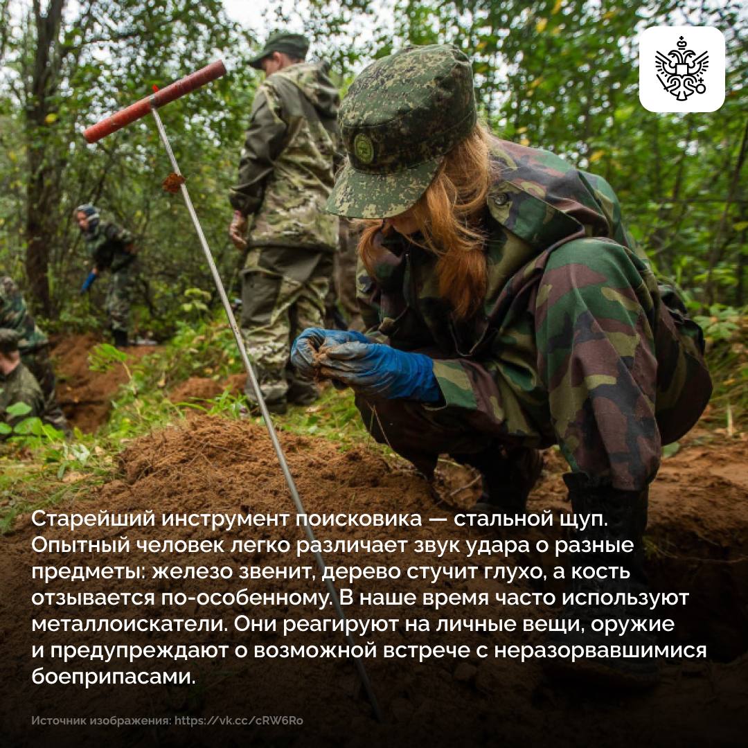 Поля сражений до сих пор хранят полтора миллиона непогребенных защитников Поля сражений до сих пор хранят полтора миллиона непогребенных защитников