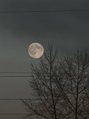 Первые кадры суперлуния. Жители Бурятии сегодня наблюдают за последним в этом году суперлунием