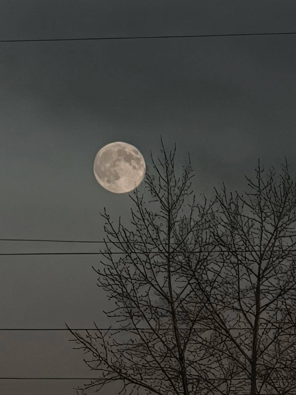 Первые кадры суперлуния. Жители Бурятии сегодня наблюдают за последним в этом году суперлунием