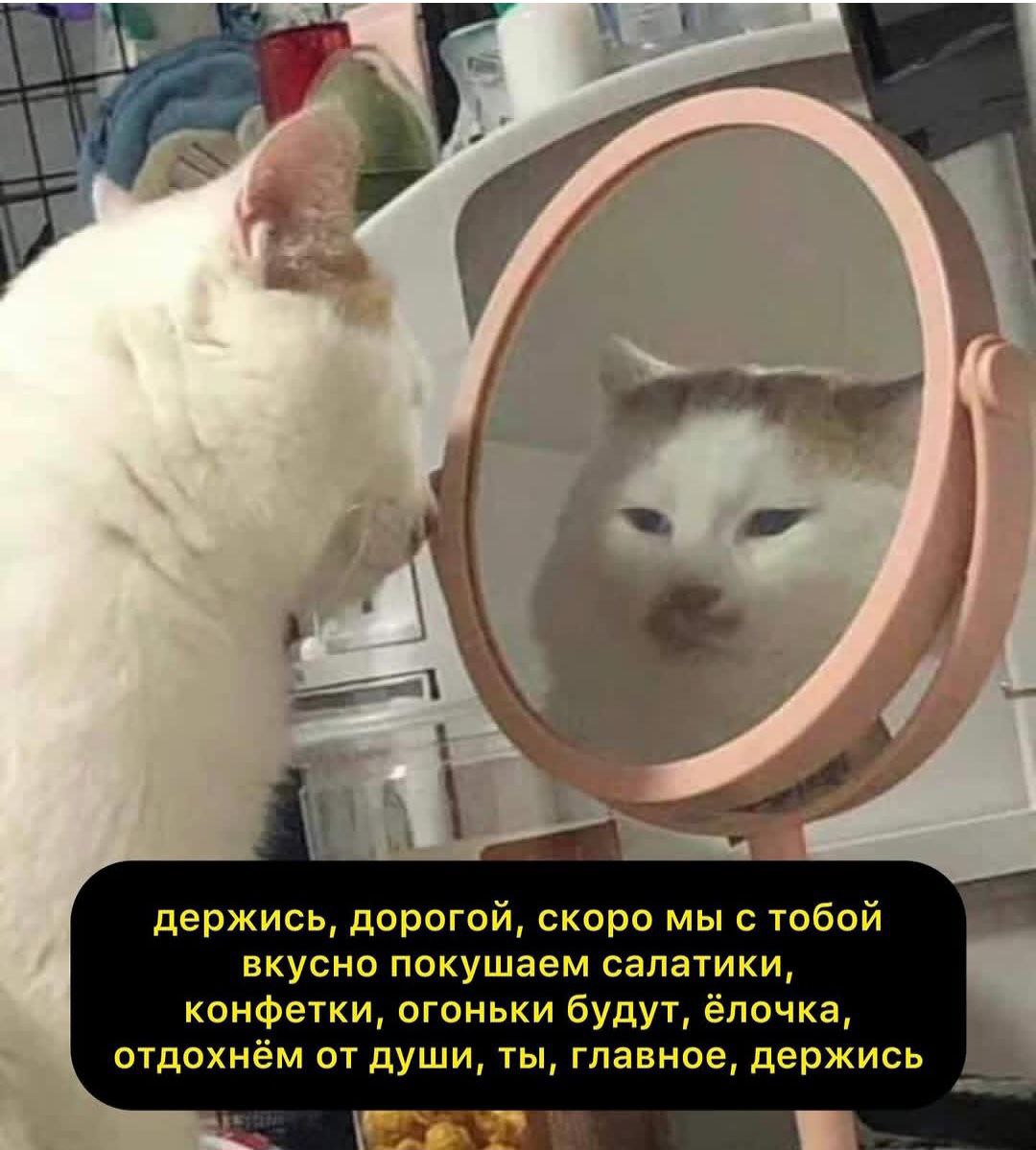 Доброе утро). 4 декабря по республике: переменная облачность, местами небольшой снег, по Прибайкалью и Баргузинской долине местами снегопад