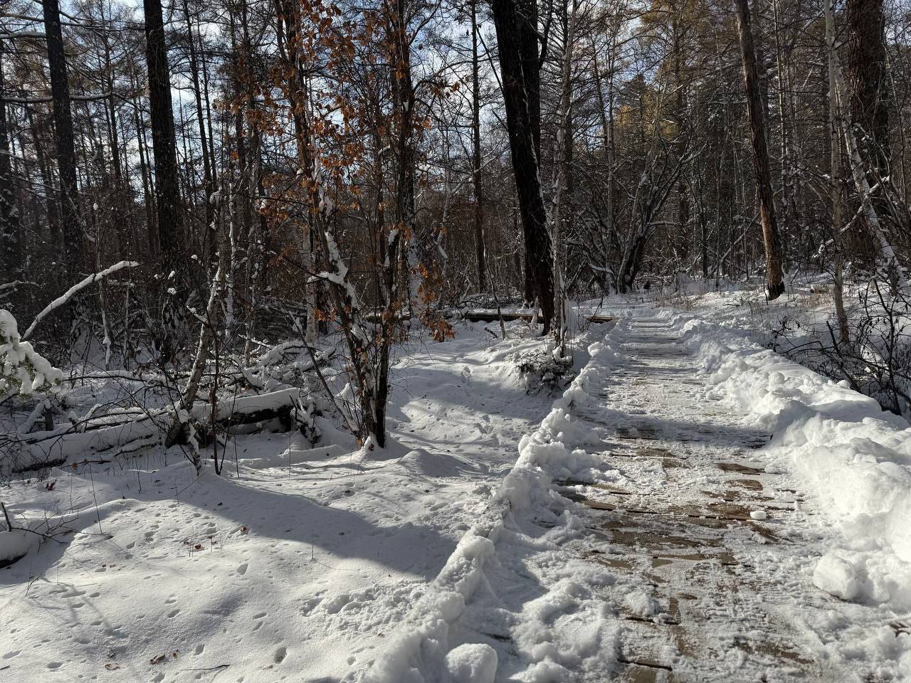 Тропы ждут: запланируйте активные выходные Тропы ждут: запланируйте активные выходные