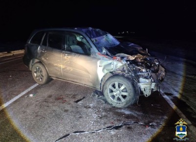 В Иволгинском районе Бурятии иномарка сбила коня