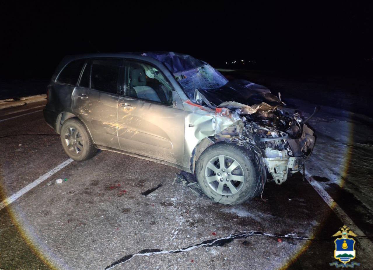 В Иволгинском районе Бурятии иномарка сбила коня