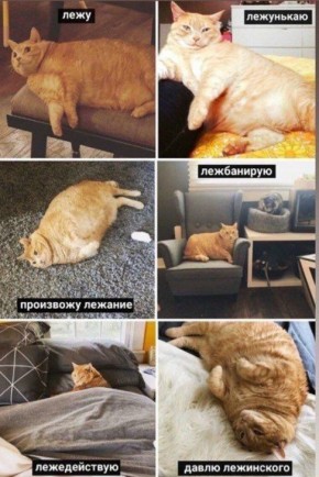 Доброе субботнее утро. По данным Бурятского гидрометцентра, 6 декабря в большинстве районов республики снег, по Прибайкалью и Баргузинской долине местами снегопад