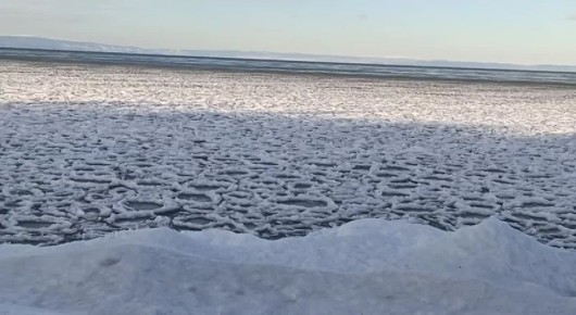 Ледяные «лотосы» вновь появились на Байкале