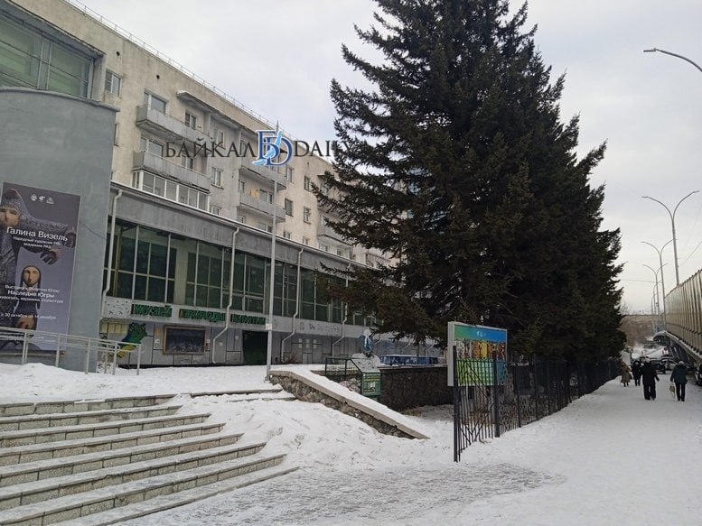 «В историческом центре Улан-Удэ лучшая ёлка в этом году у Galaxy - собрана из сосенок. Остальные - у «Фактора», «Еврозоны», «Центрального» - искусственное не пойми что» «В историческом центре Улан-Удэ лучшая ёлка в этом году у Galaxy - собрана из сосенок. Остальные - у «Фактора», «Еврозоны», «Центрального» - искусственное не пойми что»