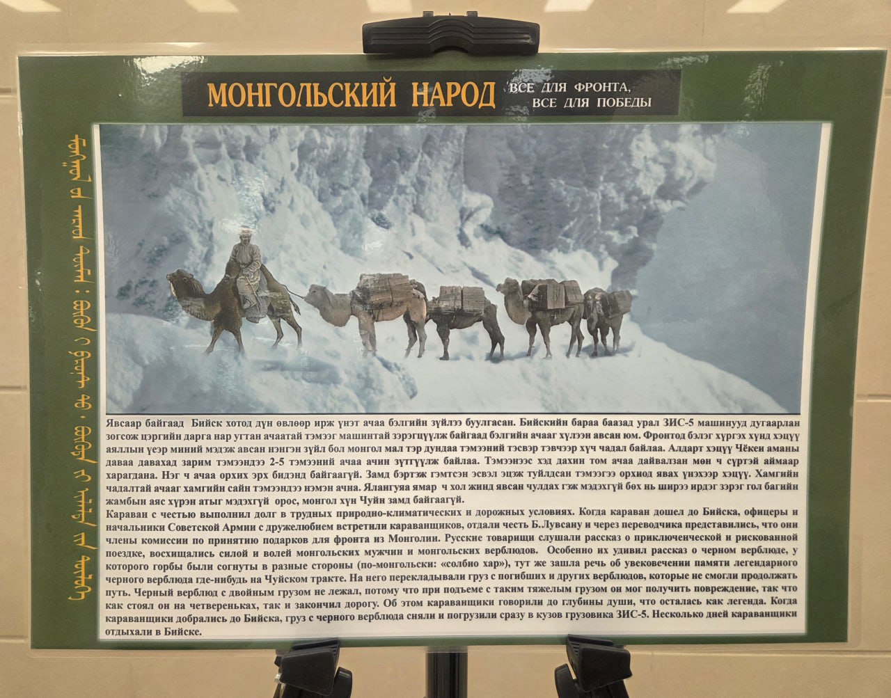 В Бурятию движется «Караван верблюдов. Все для фронта» В Бурятию движется «Караван верблюдов. Все для фронта»