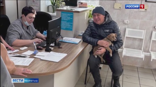 Умка ждёт нового хозяина. О хвостатом малыше, который возможно был выброшен владельцами, мы рассказывали на прошлой неделе