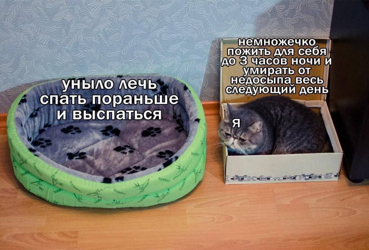 Доброе утро). 10 декабря по республике: переменная облачность, местами слабый снег, по Прибайкалью до умеренного