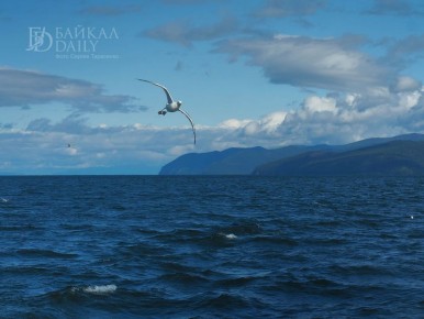 Госдума приняла в окончательном чтении поправки в закон «Об охране озера Байкал»