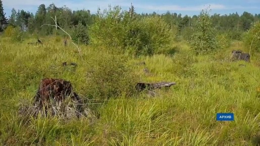 «Закон – о защите». В Госдуме приняли обновлённый закон об охране Байкала