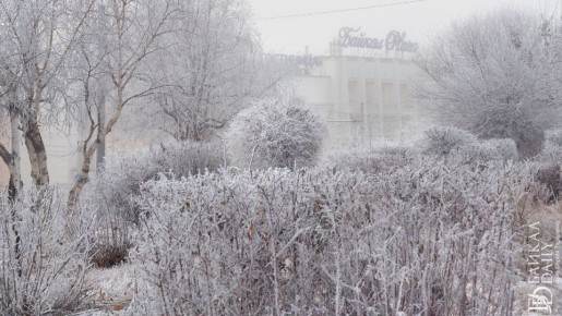Не хватило одного градуса. для отмены уроков в школах