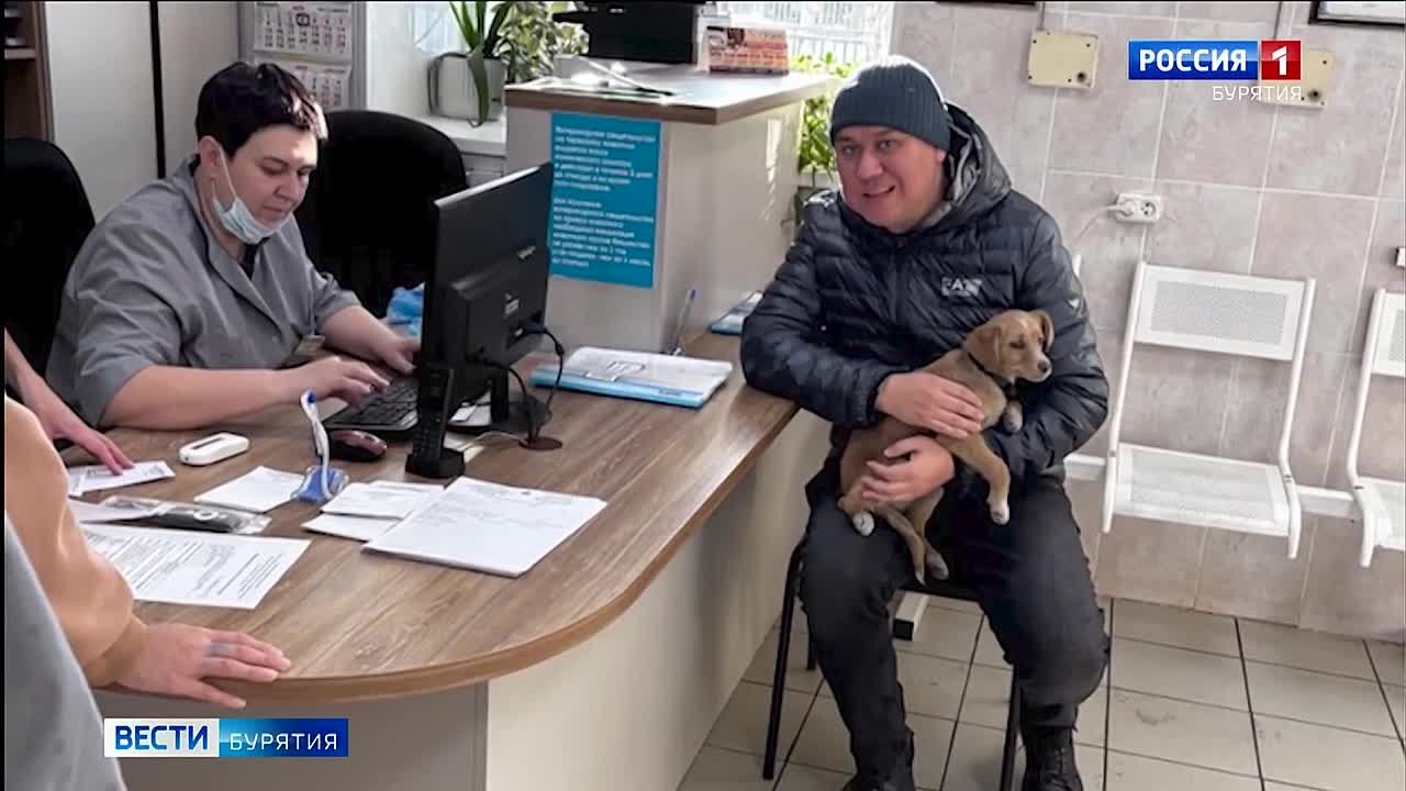 Умка ждёт нового хозяина. О хвостатом малыше, который возможно был выброшен владельцами, мы рассказывали на прошлой неделе