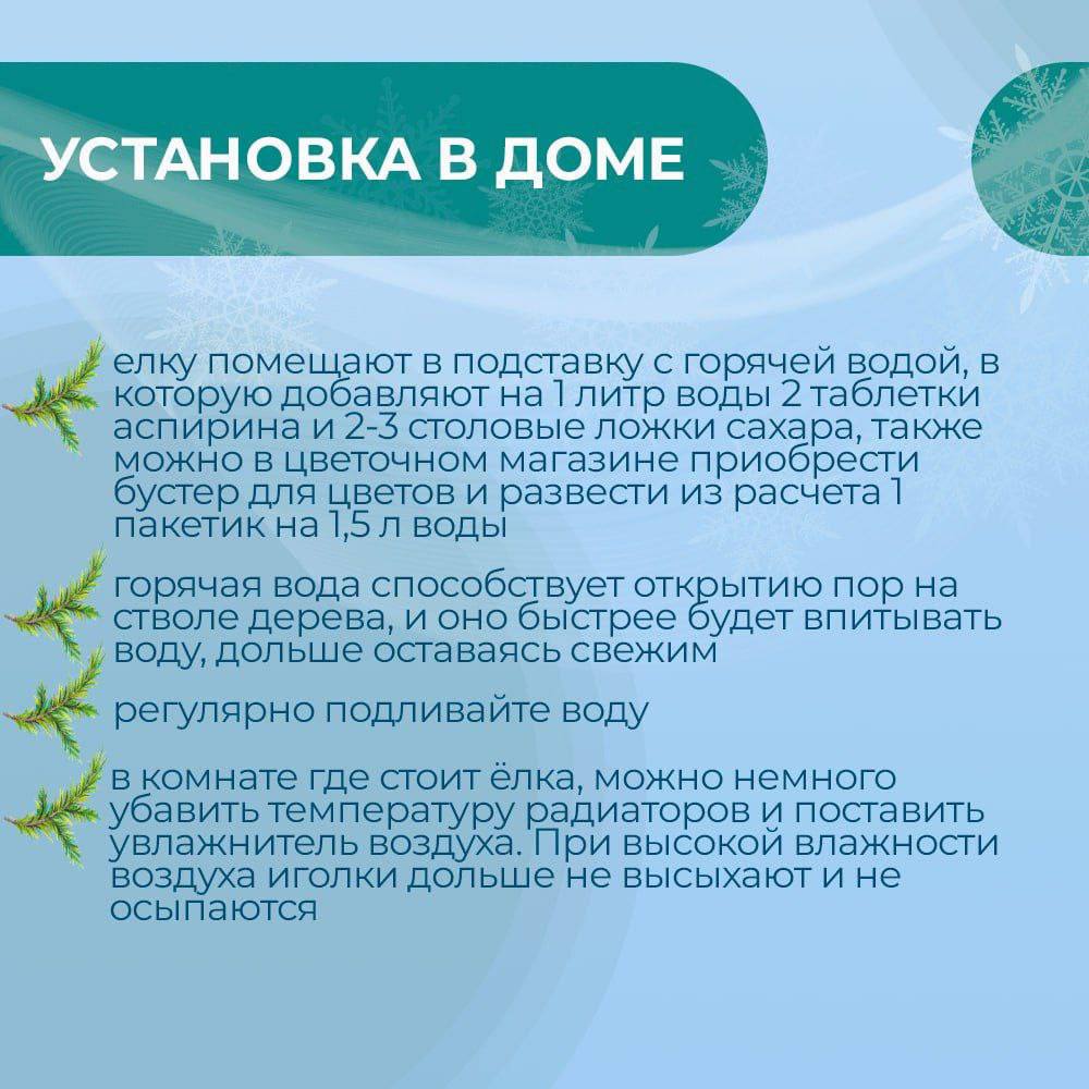 Традиционным новогодним украшением каждого дома являются наряженные елки или свежесрезанные ветви хвойных пород, используемые как основной материал в новогоднем и рождественском декоре Традиционным новогодним украшением каждого дома являются наряженные елки или свежесрезанные ветви хвойных пород, используемые как основной материал в новогоднем и рождественском декоре