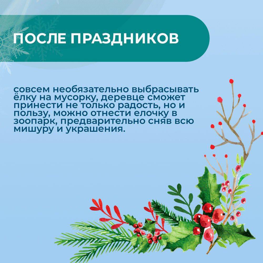 Традиционным новогодним украшением каждого дома являются наряженные елки или свежесрезанные ветви хвойных пород, используемые как основной материал в новогоднем и рождественском декоре Традиционным новогодним украшением каждого дома являются наряженные елки или свежесрезанные ветви хвойных пород, используемые как основной материал в новогоднем и рождественском декоре