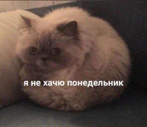 Доброе утро). 15 декабря по республике: переменная облачность, местами небольшой снег, днём по Прибайкалью до умеренного