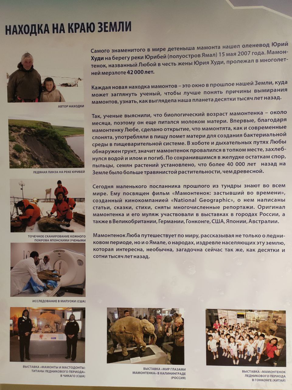 Обнаружив мамонтенка, оленевод проявил гражданскую позицию Обнаружив мамонтенка, оленевод проявил гражданскую позицию