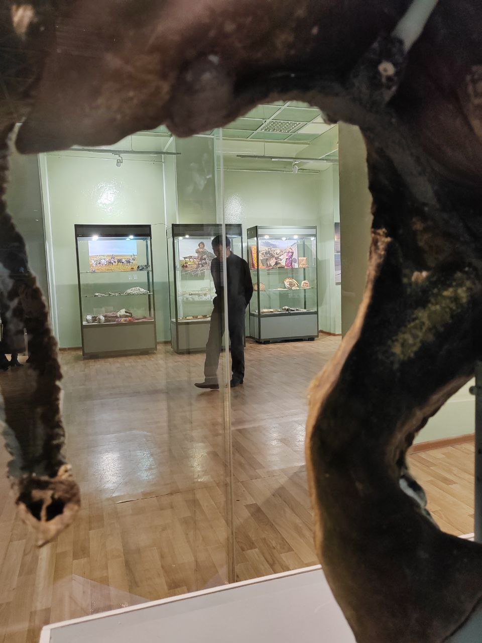 Обнаружив мамонтенка, оленевод проявил гражданскую позицию Обнаружив мамонтенка, оленевод проявил гражданскую позицию