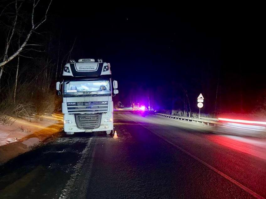 Два человека пострадали в ДТП по вине водителя большегруза на трассе «Байкал» Два человека пострадали в ДТП по вине водителя большегруза на трассе «Байкал»