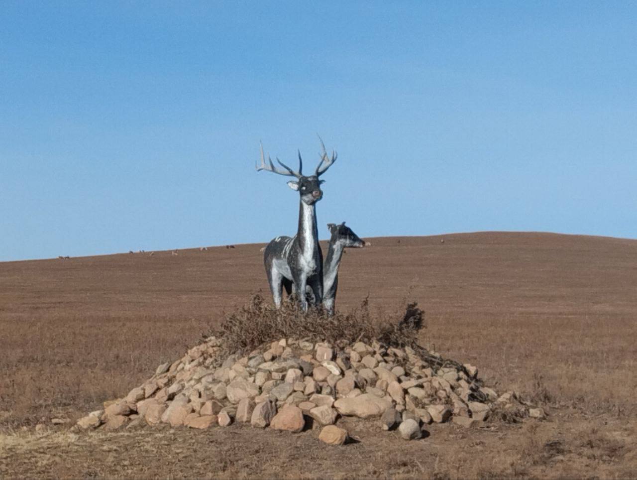 Последние часы голосования! Последние часы голосования!