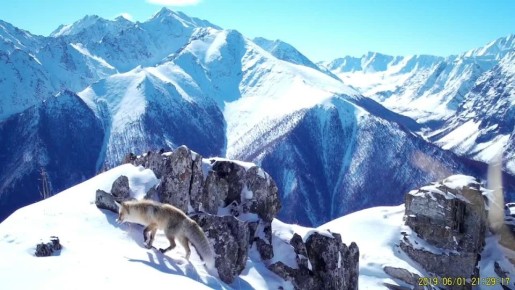 ������������ � ���������� ����� ������� ������ �� ����� ������� �����