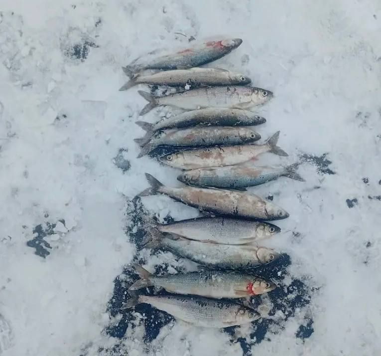 ������ ������-������������ ������ ��������� ������ ������������ ����� ����� �� 200 ����� ������