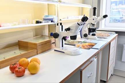 ����� � ���, ��� �������� � ������ ������� ������������: