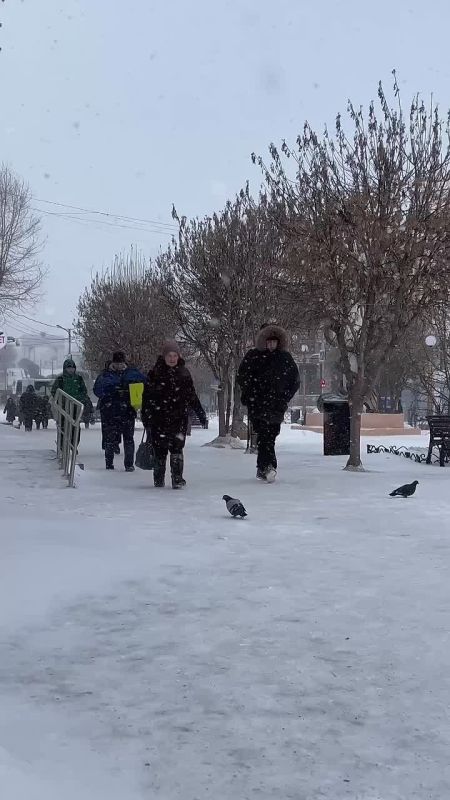 ������ ��������� ����, ����������!