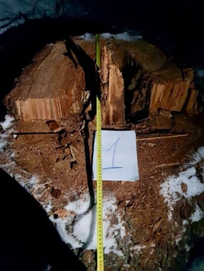 ������ ������� �������� 350 ����� �� ��� ��������� ������