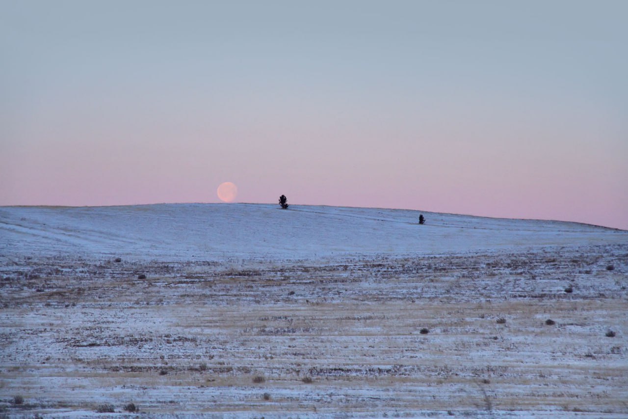 Бурятия из окна автомобиля Бурятия из окна автомобиля
