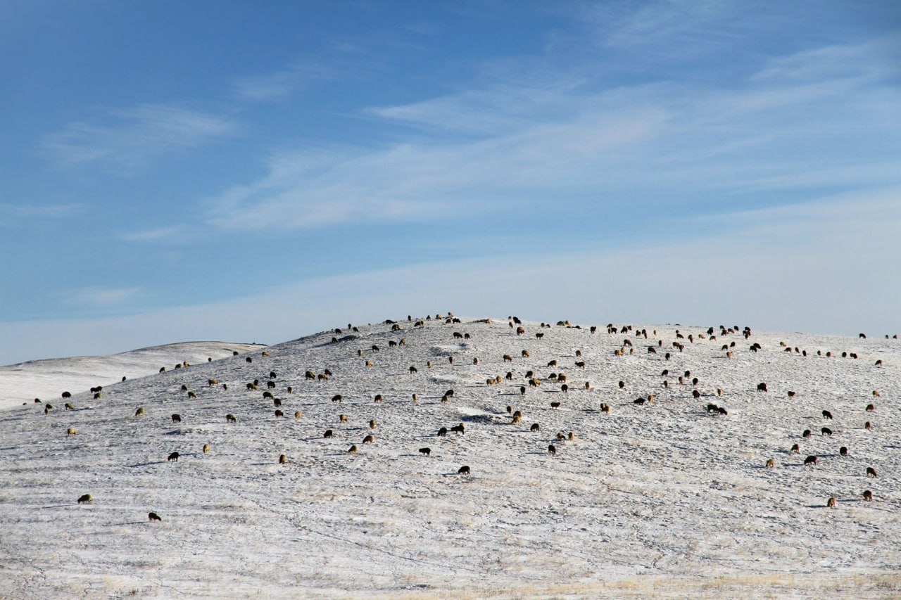 Бурятия из окна автомобиля Бурятия из окна автомобиля